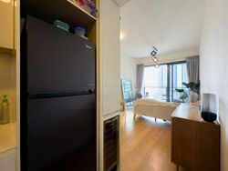 Skysuites@Anson (D2), Apartment #482859471